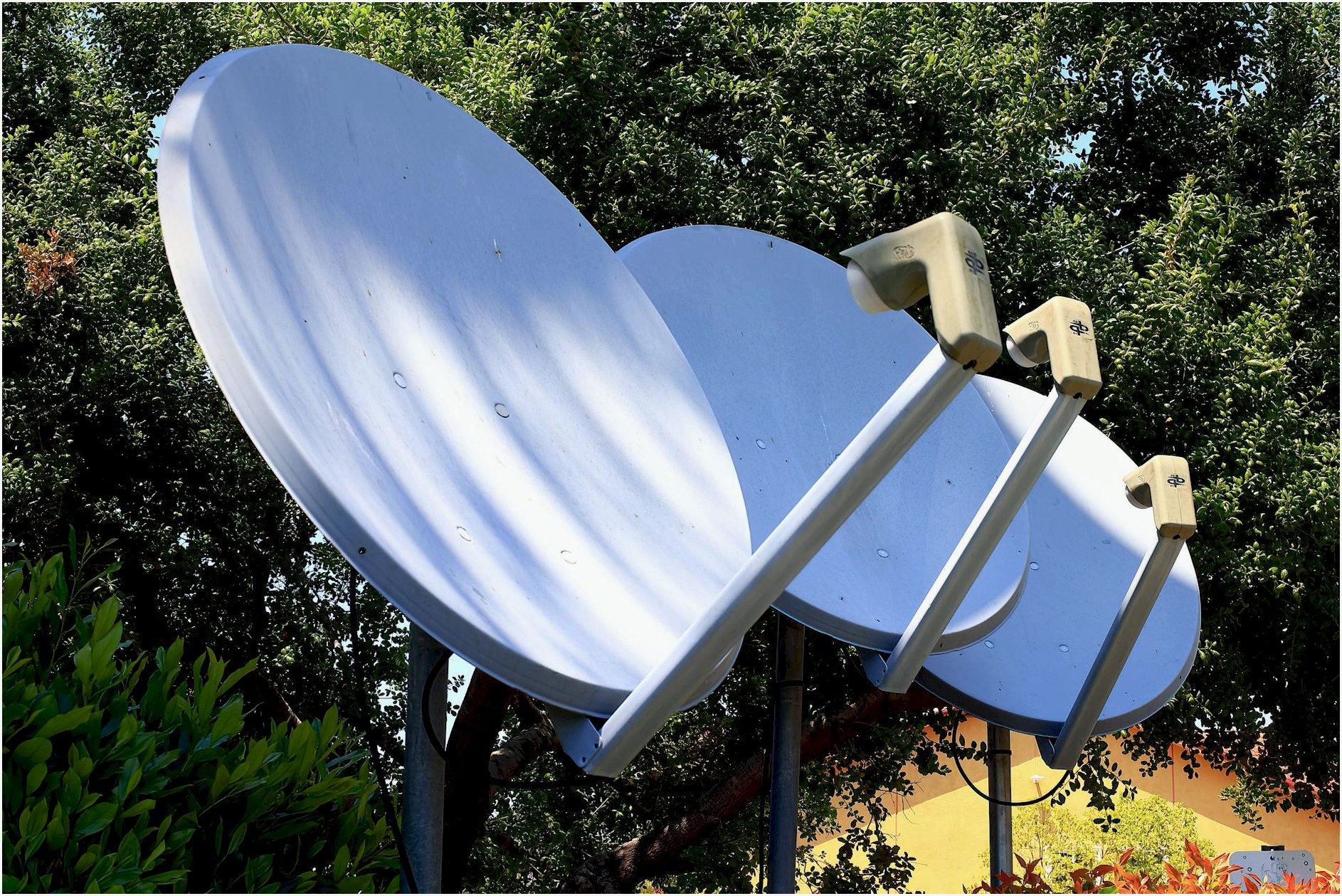 Satellite dishes in nature setting, emphasizing technology blend with environment.